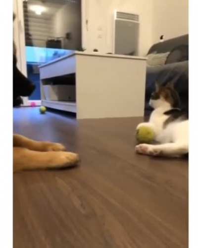 It's mine now