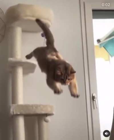 I almost made it!