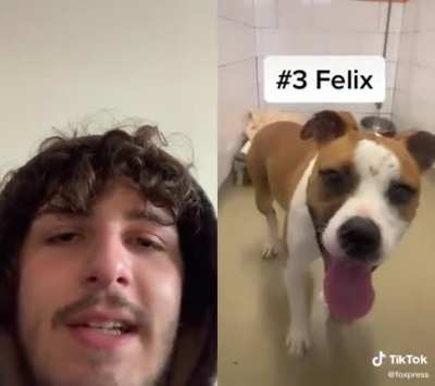 Adoption