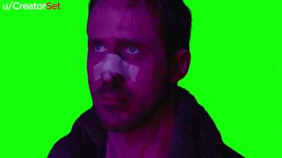 [GREEN SCREEN] "You look like a good Joe" - Blade Runner 2049 Meme Template