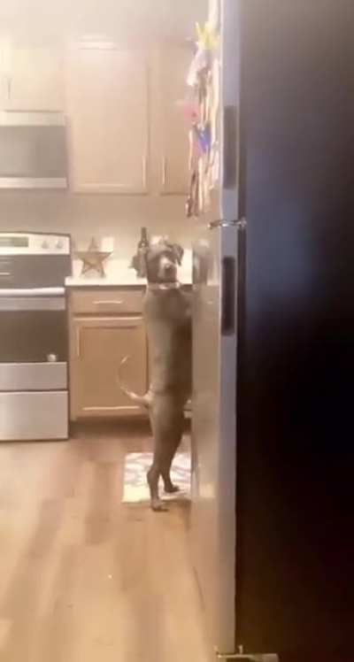 "Oh dang, they're onto me... time to act normal"