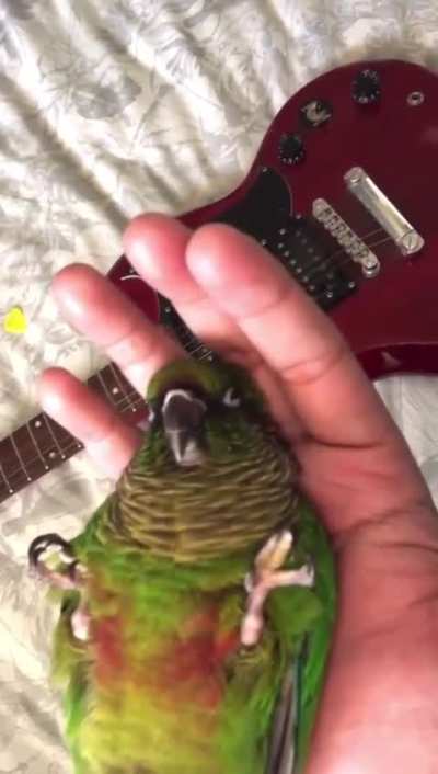 That sleepy twitch