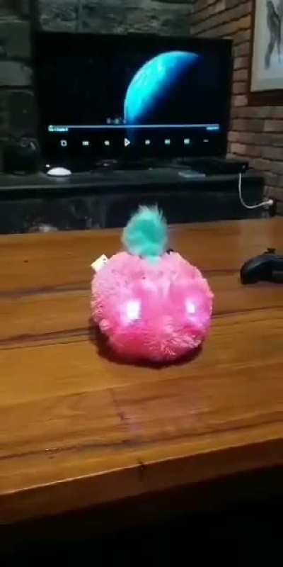 my brother's birthday present