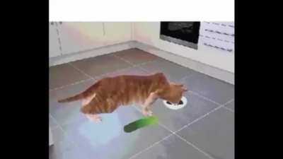 woo