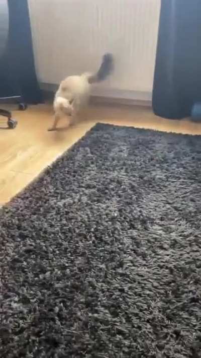 she might be a frog idk