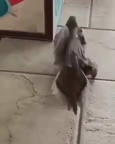 Found a wanted criminal!