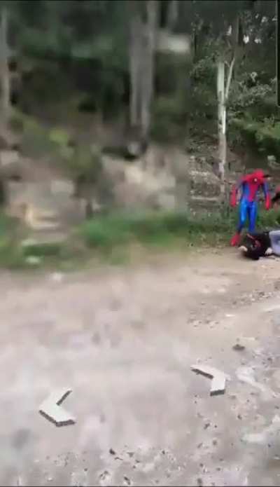 Ara&ntilde;a de hombre