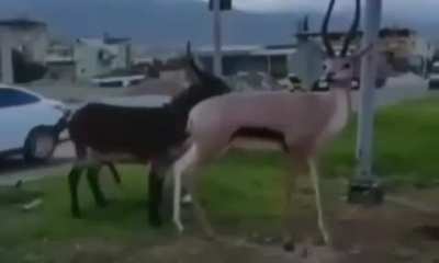 hmmm