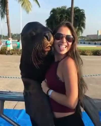 Mr Seal your girl