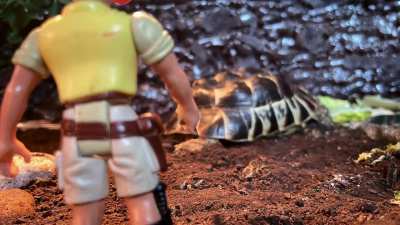 Stop motion with bumpy