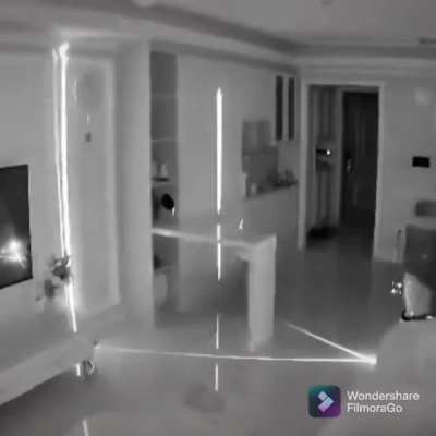 blursed_roomba