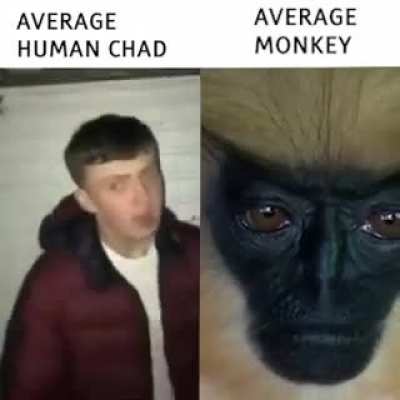 does not compare 🦧