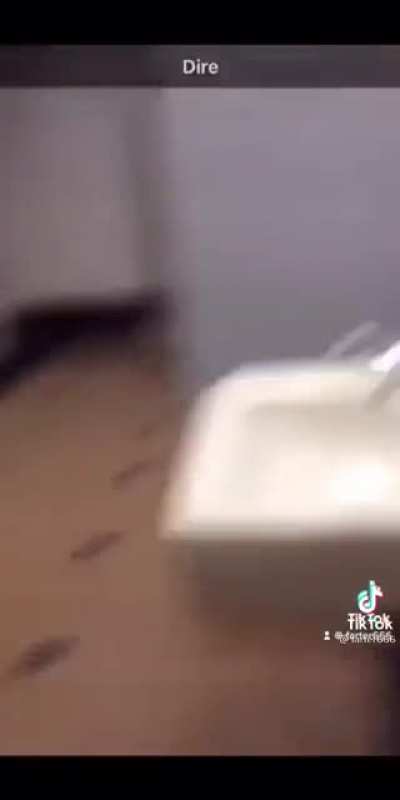 :$