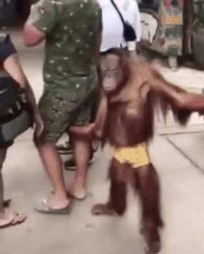 Ok