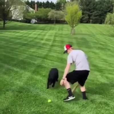 I&rsquo;m not going all the way over there when there&rsquo;s another ball right here