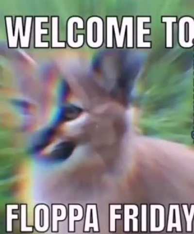 K today is Christmas but most importantly today is Floppa Friday