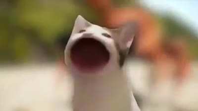Pop