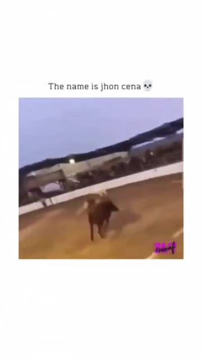 blursed_horse