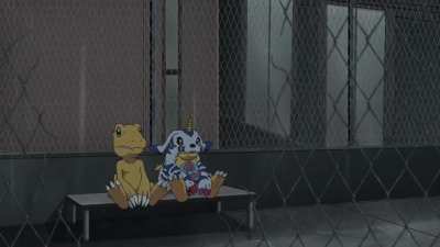Current state of the community waiting for Digimon Survive...
