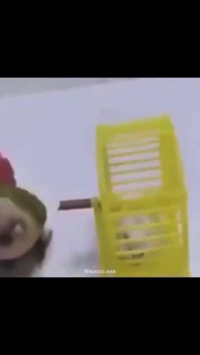 He didn't want to go