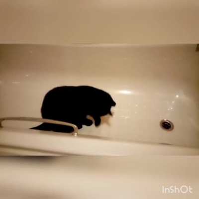 nobody knows the rules for bathball but him.