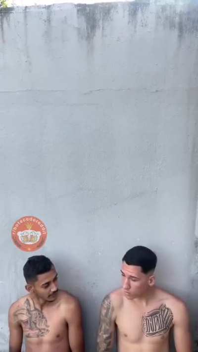 Segura ai! 