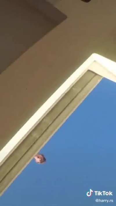 :o