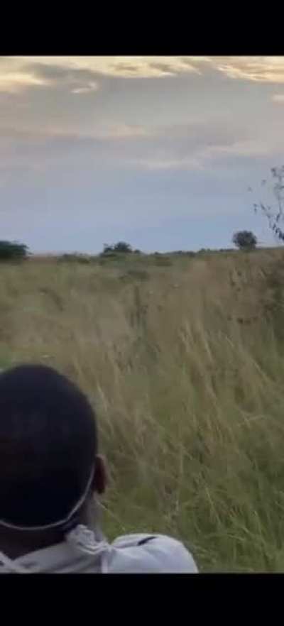 Something from Africa