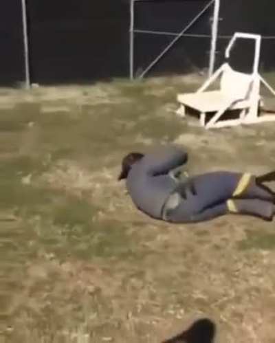 Guard dog training practicing on intruder takedown