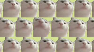 Cat Jams to Igor's Theme