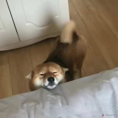 Hap boi