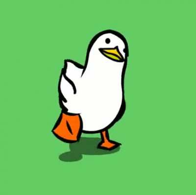 Domingo de patos
