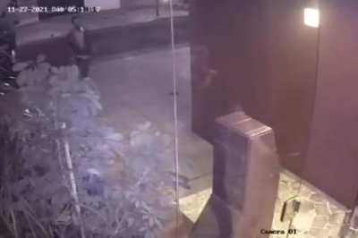 Casi pollo