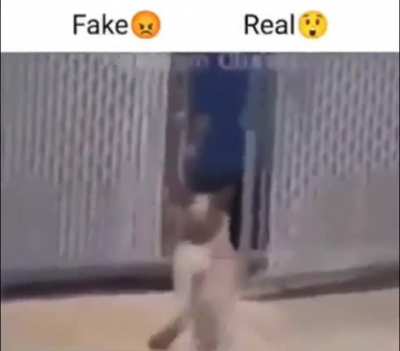 rule