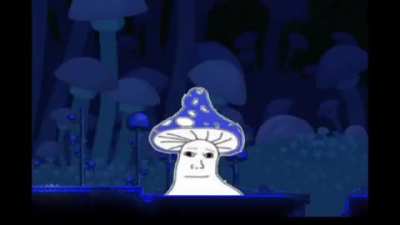 shrule