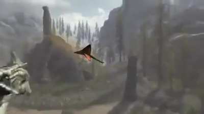 What an amazing yet unfortunate shot