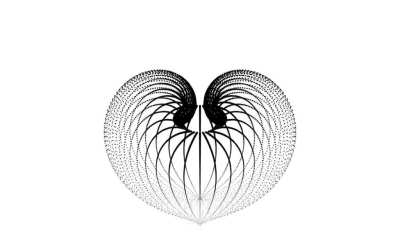 [A] Jellyfish