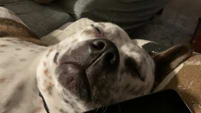 What&rsquo;s that smell?