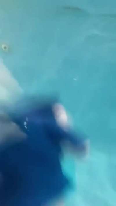Cirno in a pool