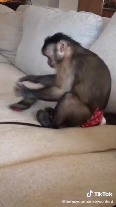 Peruano cuando le regalan un m&oacute;vil nuevo y ve que no se puede instalar el free fire