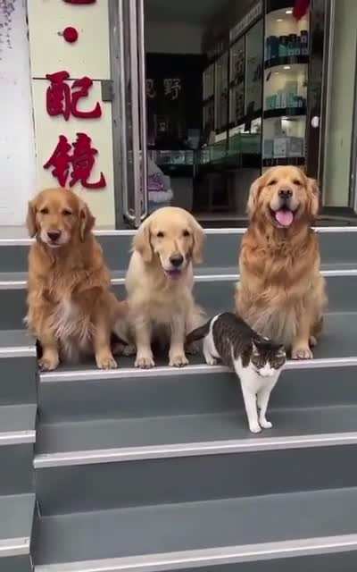 When your friends want you in the photo but you’re not interested…
