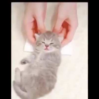 how do u like it?