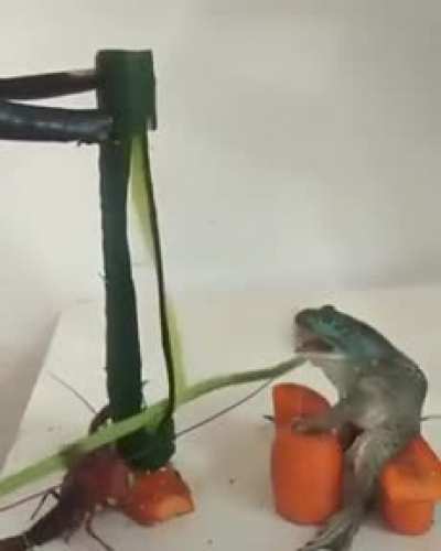 Uhhhh....