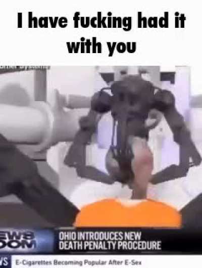 The 