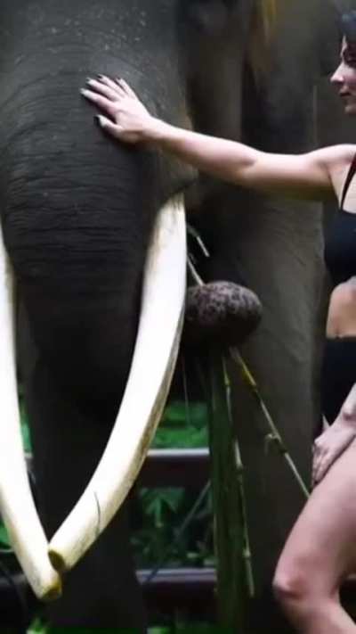 Tenille's 🍑