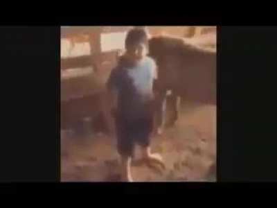 a infância nordestina é tão boa