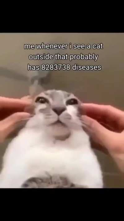 literally me