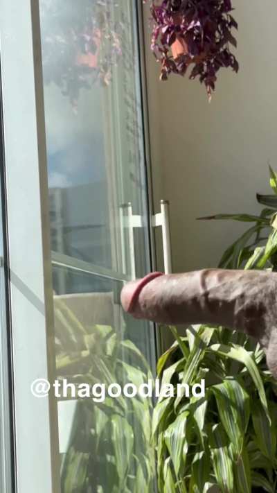 31 Bi Felt Thick