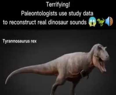 REAL DINOSUR SOUNS *SKAWERTY*
