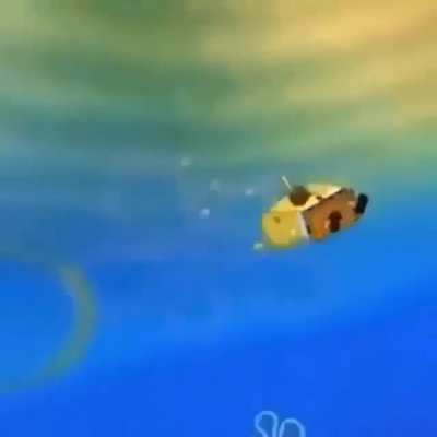 Sponge